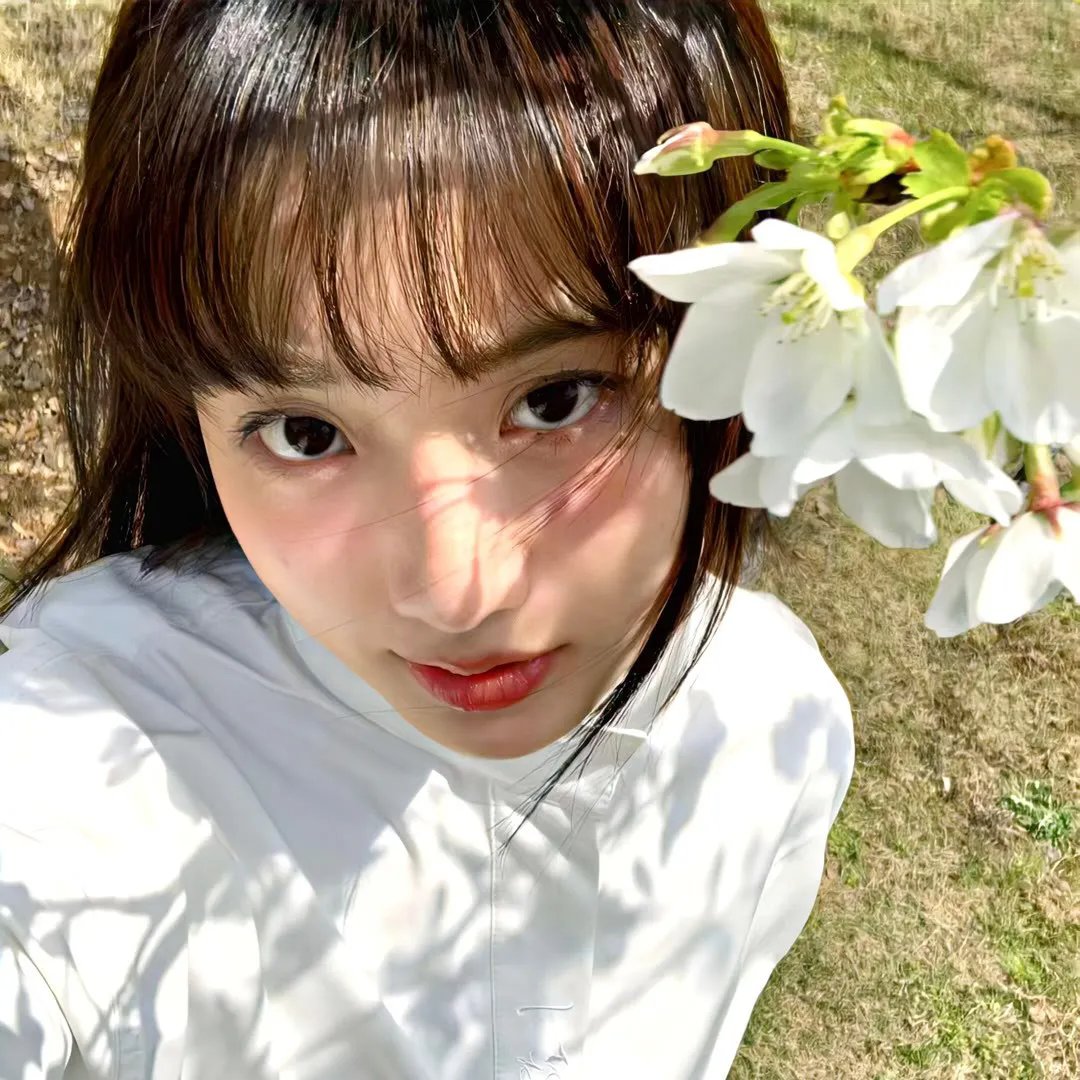 蜂蜜与四叶草